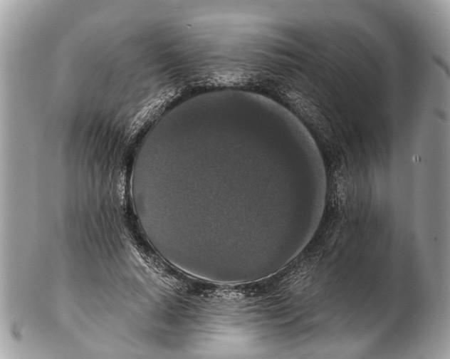 X0000102480640200809051357