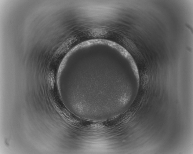 X0000102480644200809051357