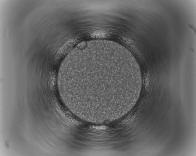 X0000102480645200809051357