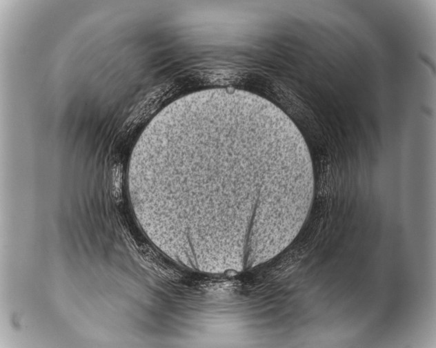 X0000102480646200809051357