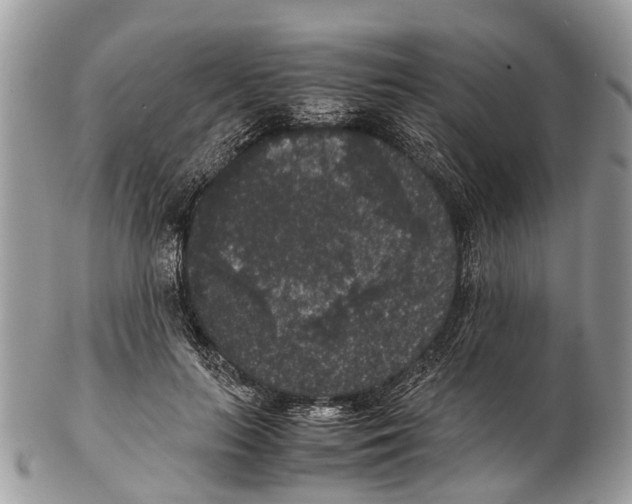 X0000102480647200809051357