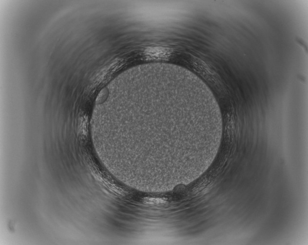 X0000102480649200809051357