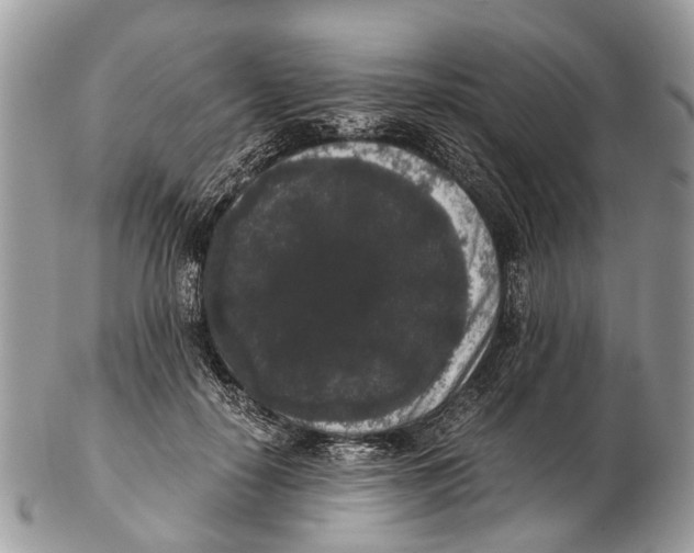 X0000102480650200809051357