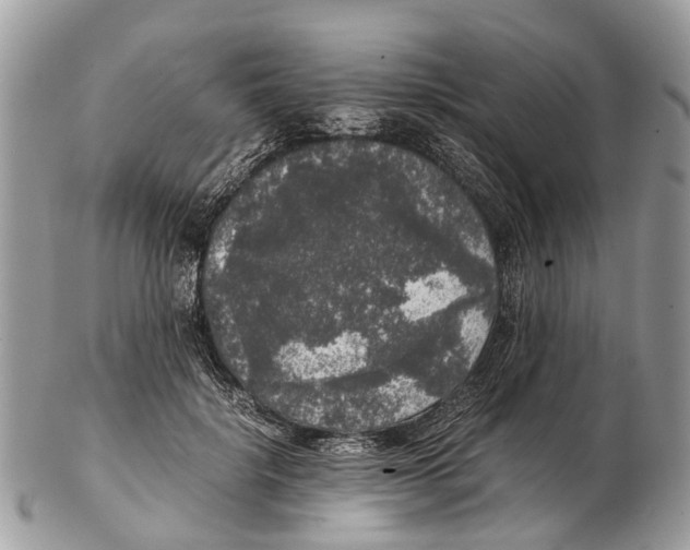 X0000102480652200809051357