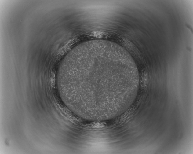 X0000102480656200809051357