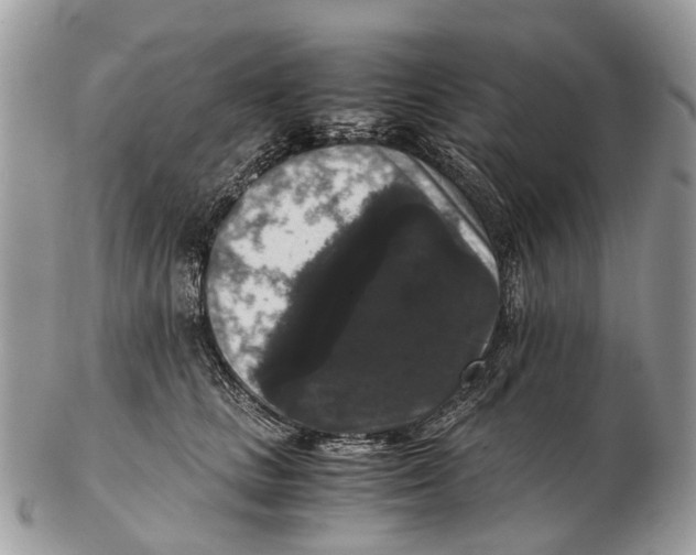 X0000102480661200809051357