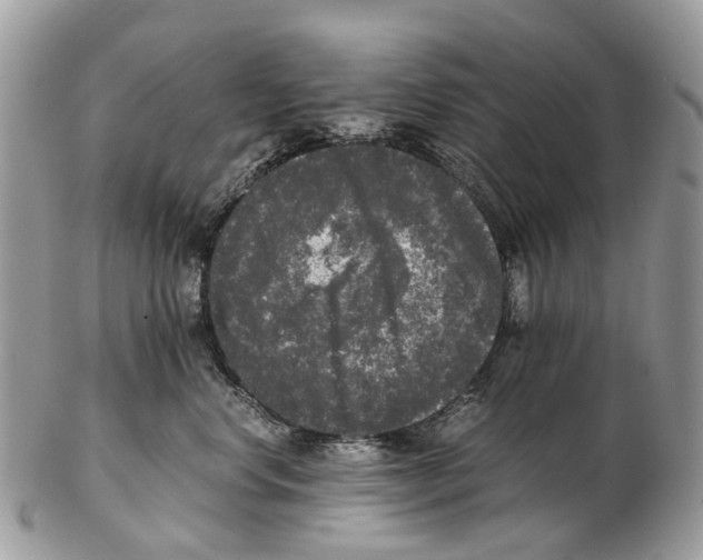 X0000102480668200809051357