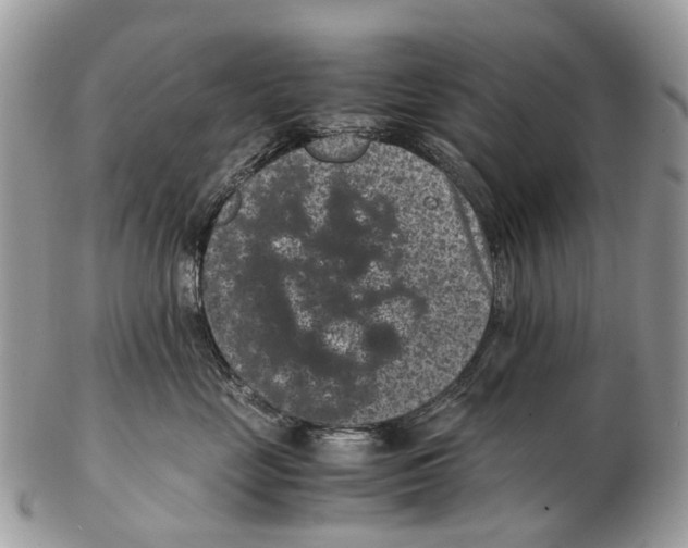 X0000102480669200809051357