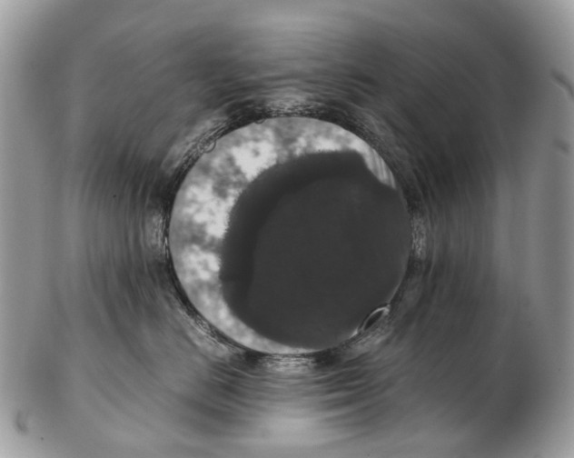 X0000102480670200809051357