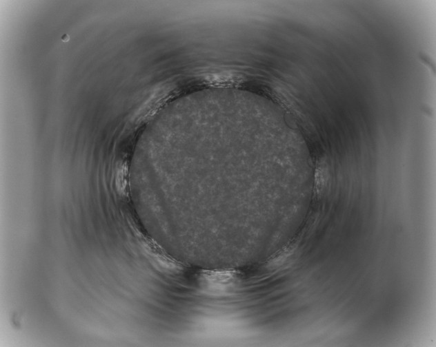 X0000102480671200809051357