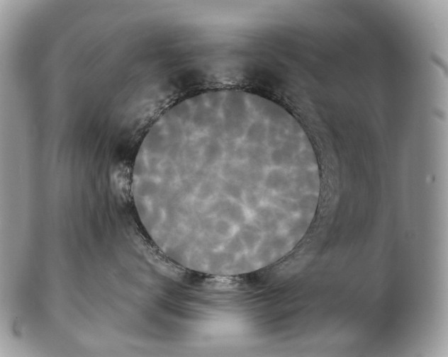 X0000102480672200809051357