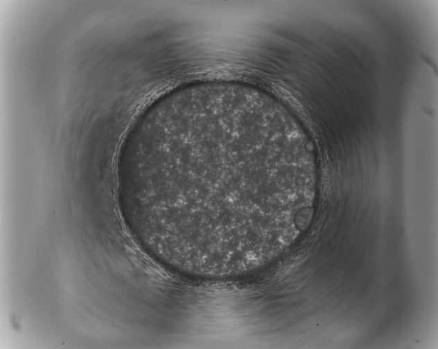 X0000102480673200809051356