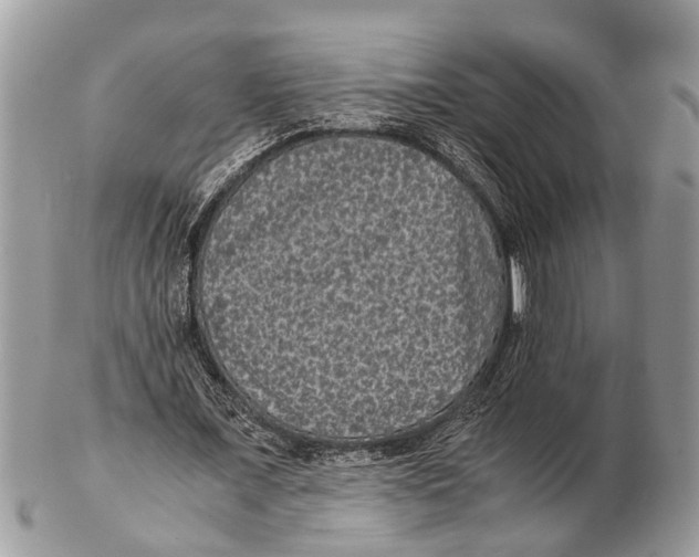 X0000102480675200809051356