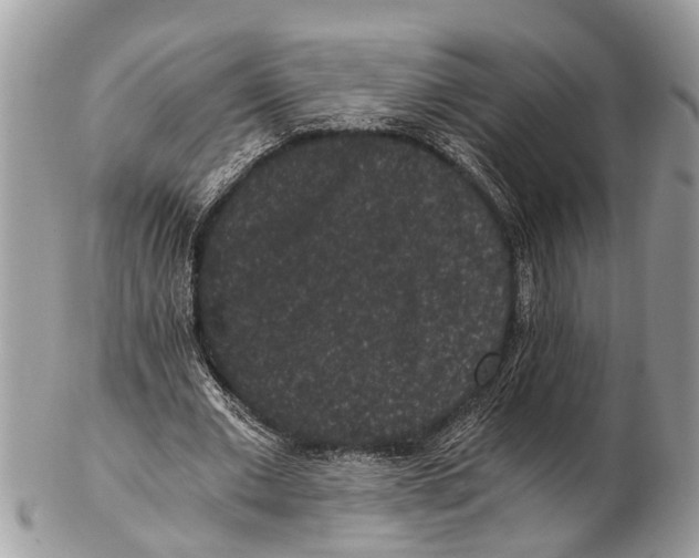 X0000102480677200809051356