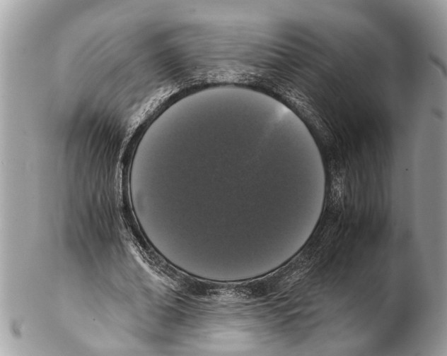 X0000102480678200809051356