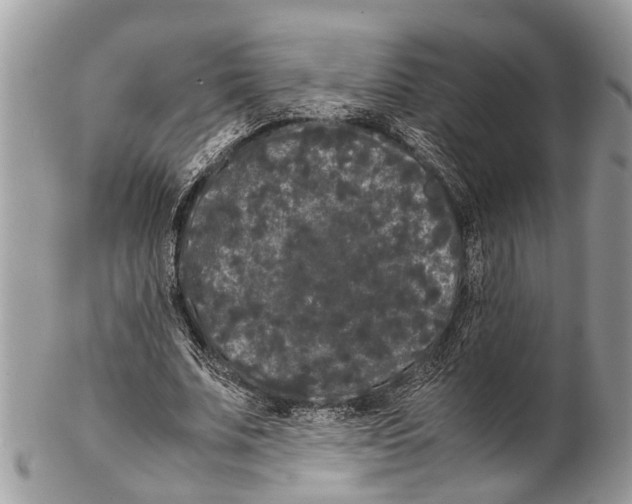 X0000102480679200809051356