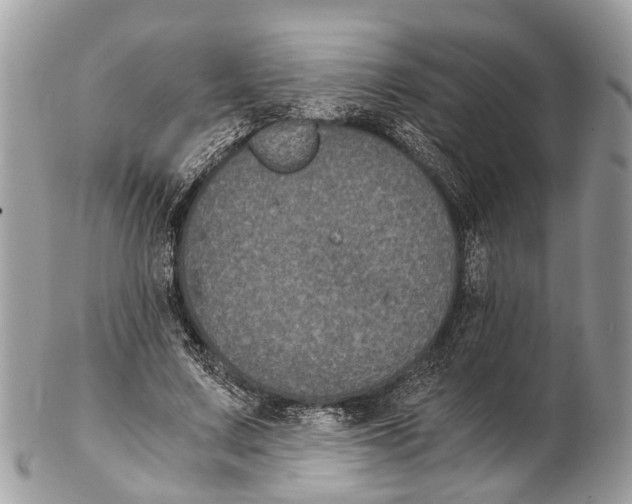 X0000102480683200809051356