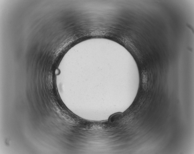 X0000102480684200809051356