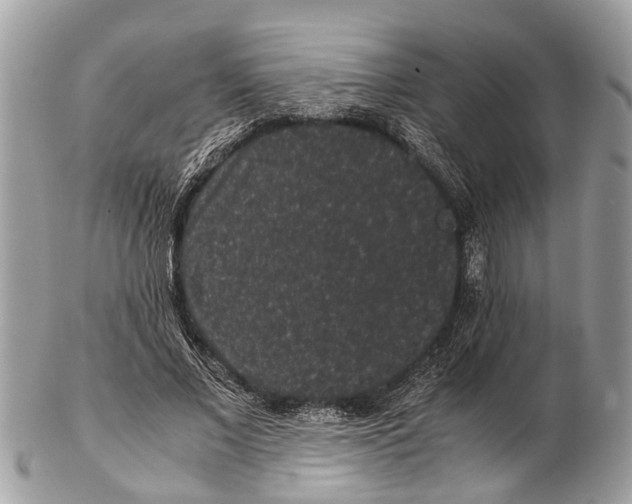 X0000102480685200809051356