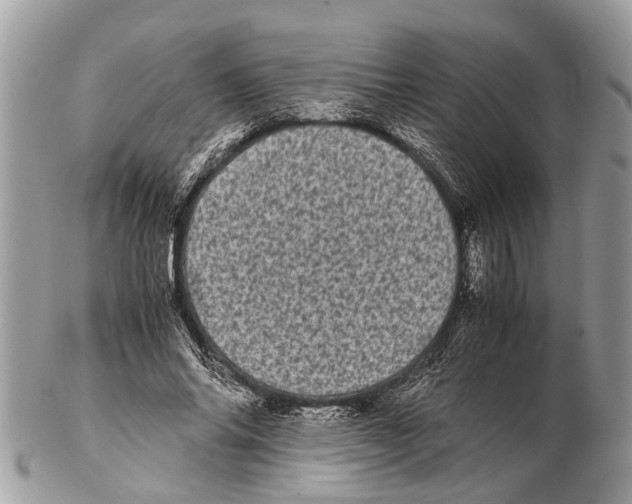 X0000102480686200809051356