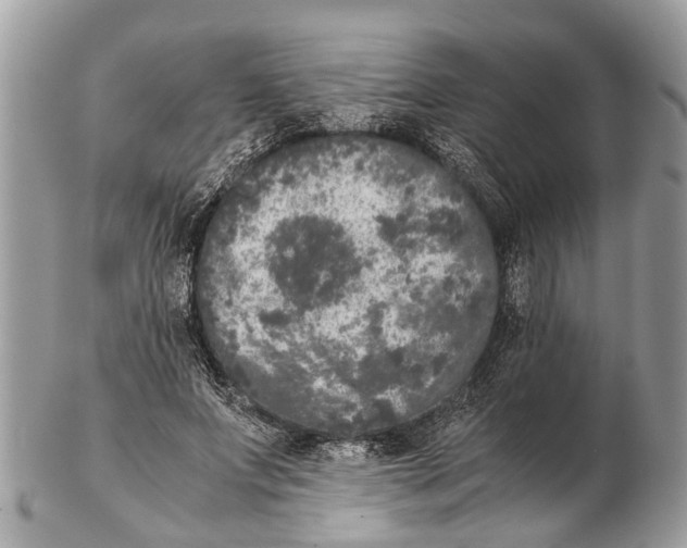 X0000102480687200809051356