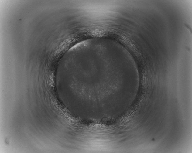 X0000102480689200809051356