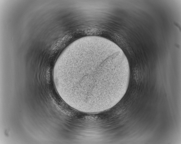 X0000102480690200809051356