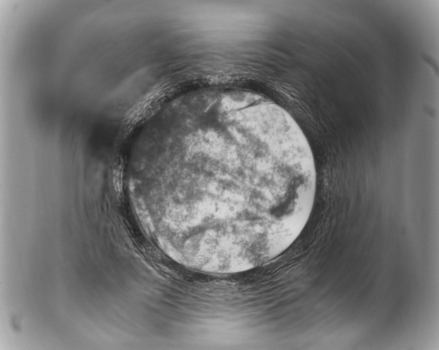 X0000102480691200809051356