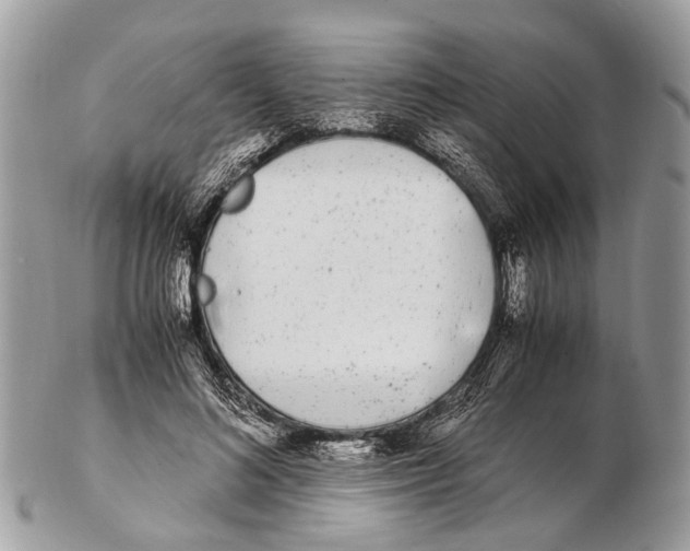 X0000102480692200809051356