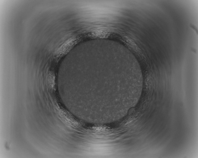 X0000102480693200809051356