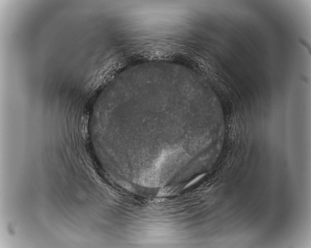 X0000102480695200809051356