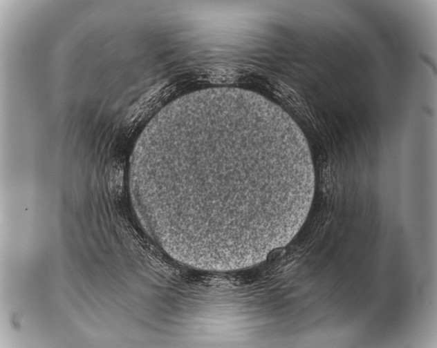 X0000102480697200809051356