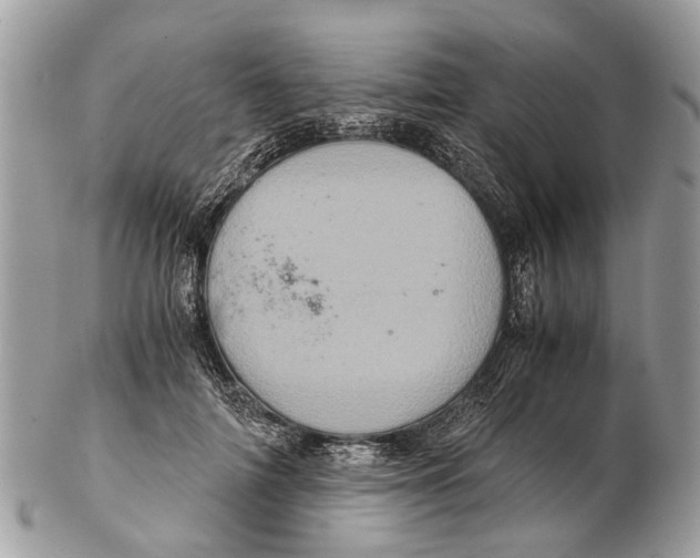 X0000102480698200809051356