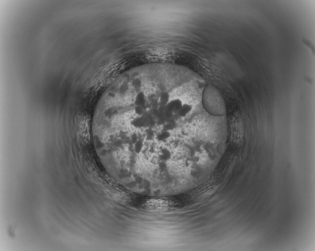 X0000102480699200809051356