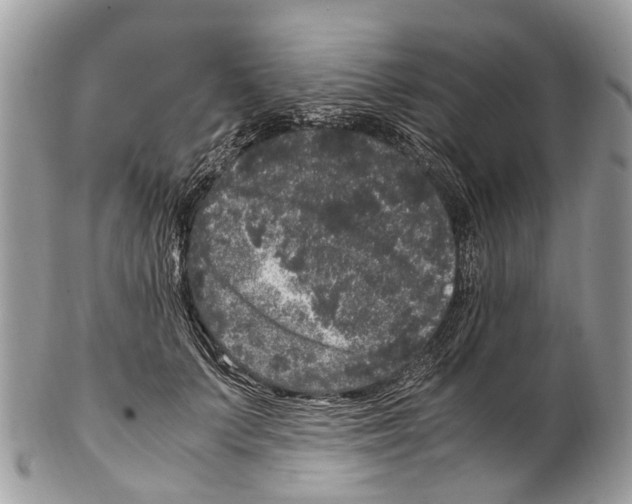 X0000102480703200809051356