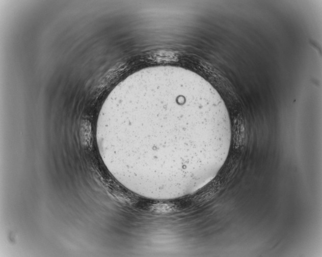 X0000102480704200809051356