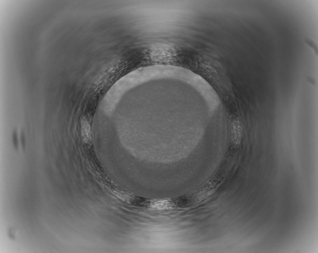 X0000102480705200809051356