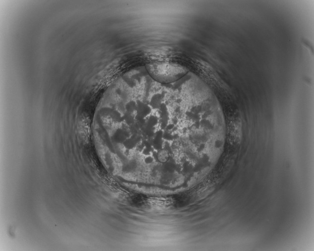 X0000102480707200809051356