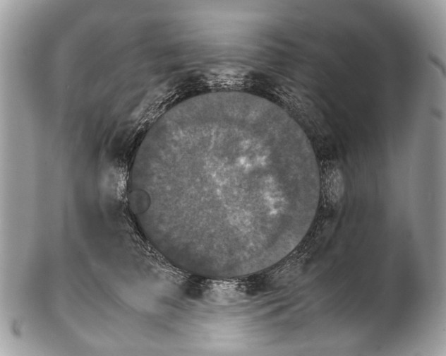 X0000102480709200809051356