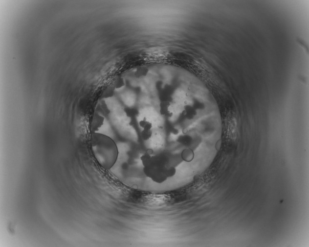 X0000102480711200809051356