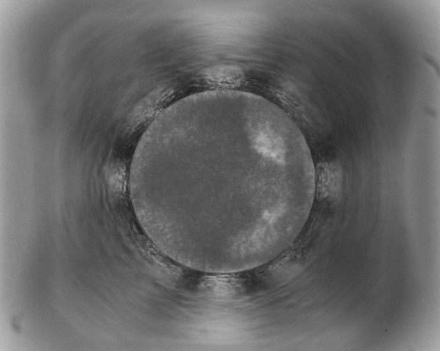 X0000102480713200809051356