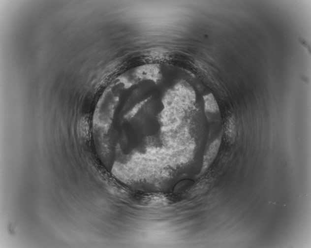 X0000102480715200809051356