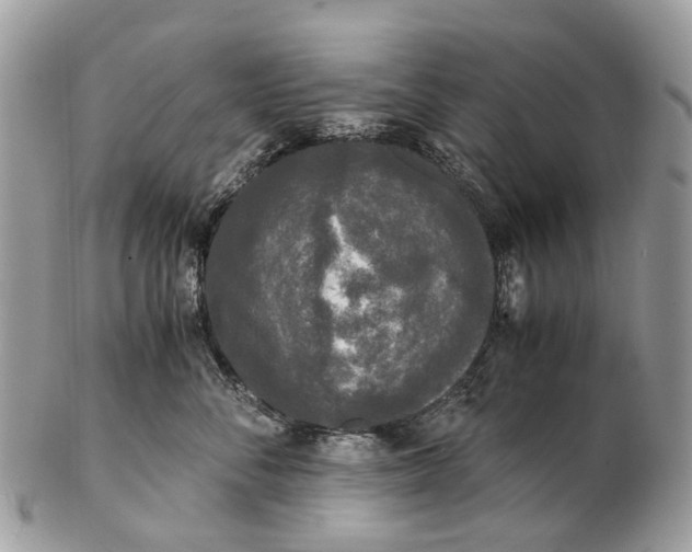 X0000102480716200809051356