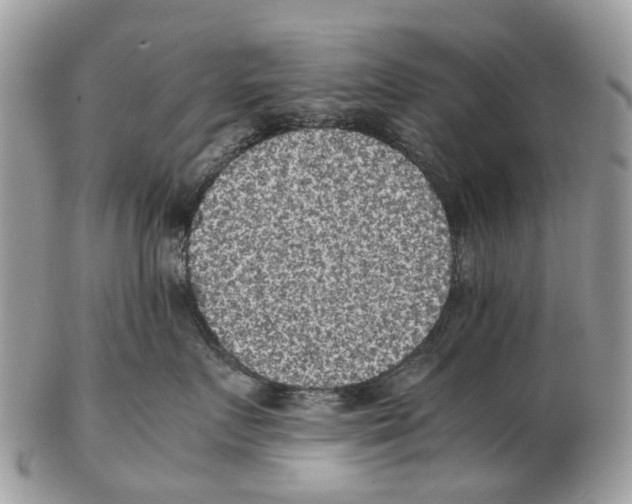 X0000102480719200809051356