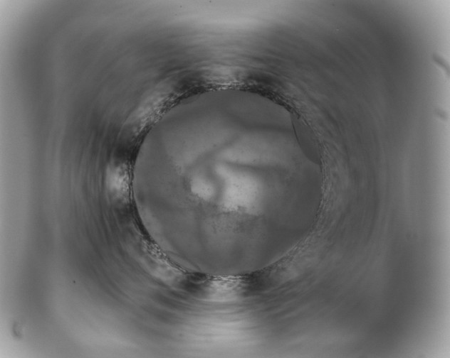 X0000102480720200809051356