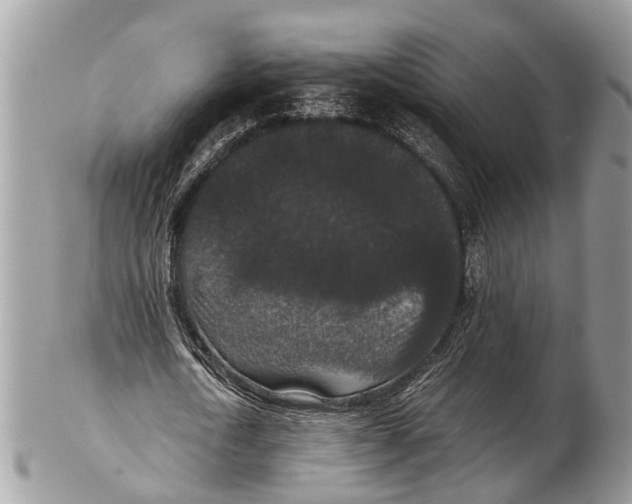 X0000102480722200809051355