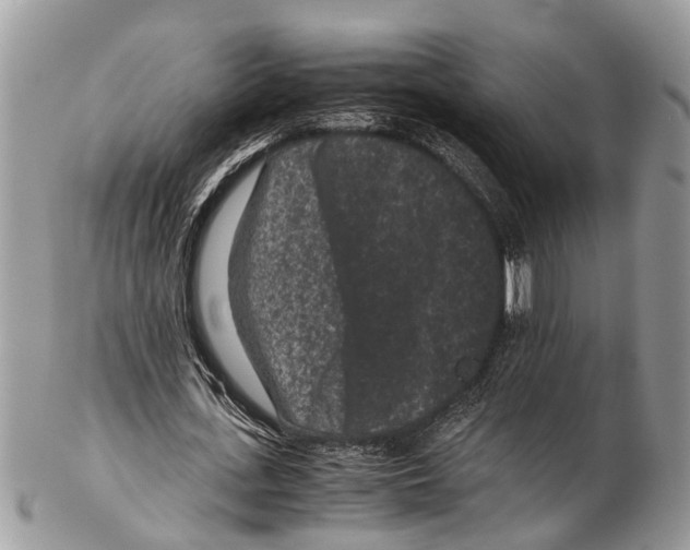 X0000102480723200809051355