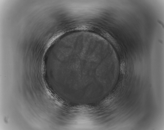 X0000102480724200809051355