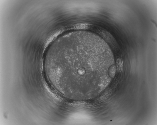 X0000102480726200809051355