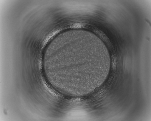 X0000102480728200809051355